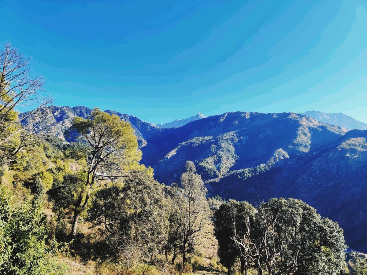 Independent Mud House Studio McLeod Ganj Ngoại thất bức ảnh